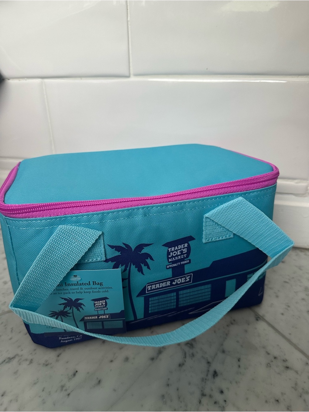 Trader Joe's MINI Teal & Pink Insulated Lunch Tote